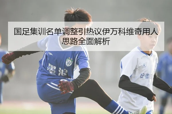 国足集训名单调整引热议伊万科维奇用人思路全面解析